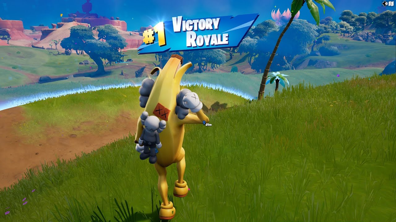 KAWSPEELY SKIN IS OP!! FORTNITE SOLO GAMEPLAY 