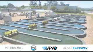 Algae Products and Services