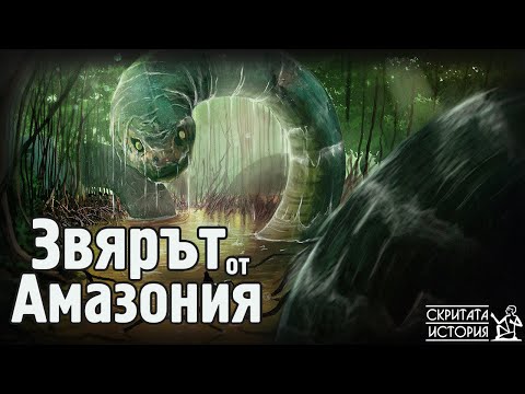 Видео: Жартиерните змии имат ли зъби?