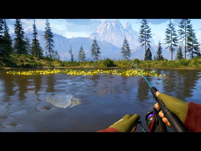 OPEN WORLD FISHING GAME - Call of the Wild The Angler Gameplay