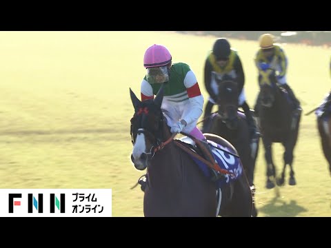 【競馬・マイルCS】“紅一点”ナミュールが牡馬を蹴散らし秋のマイル王に “代打騎乗”の藤岡康太騎手がGI2勝目