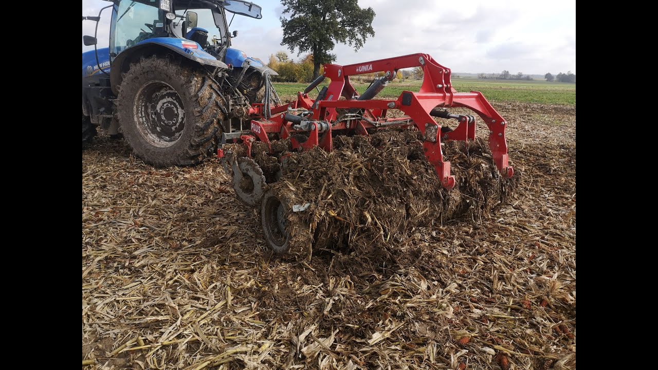 Próba talerzowania po 15 tonowej kukurydzy! Talerzówka wymięka!