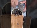 Using drilling tools to shape wood for work #smartdiy #simpletools