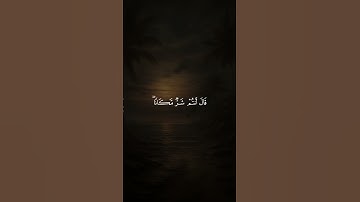 سورة يوسف | القارئ : ماجد الدعوس #quran #سورة_يوسف