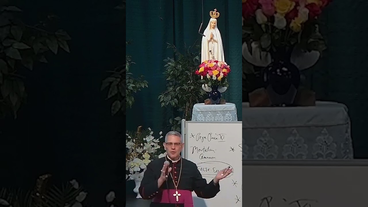 The Difference Between True and False Ecumenism #Catholic #Shorts