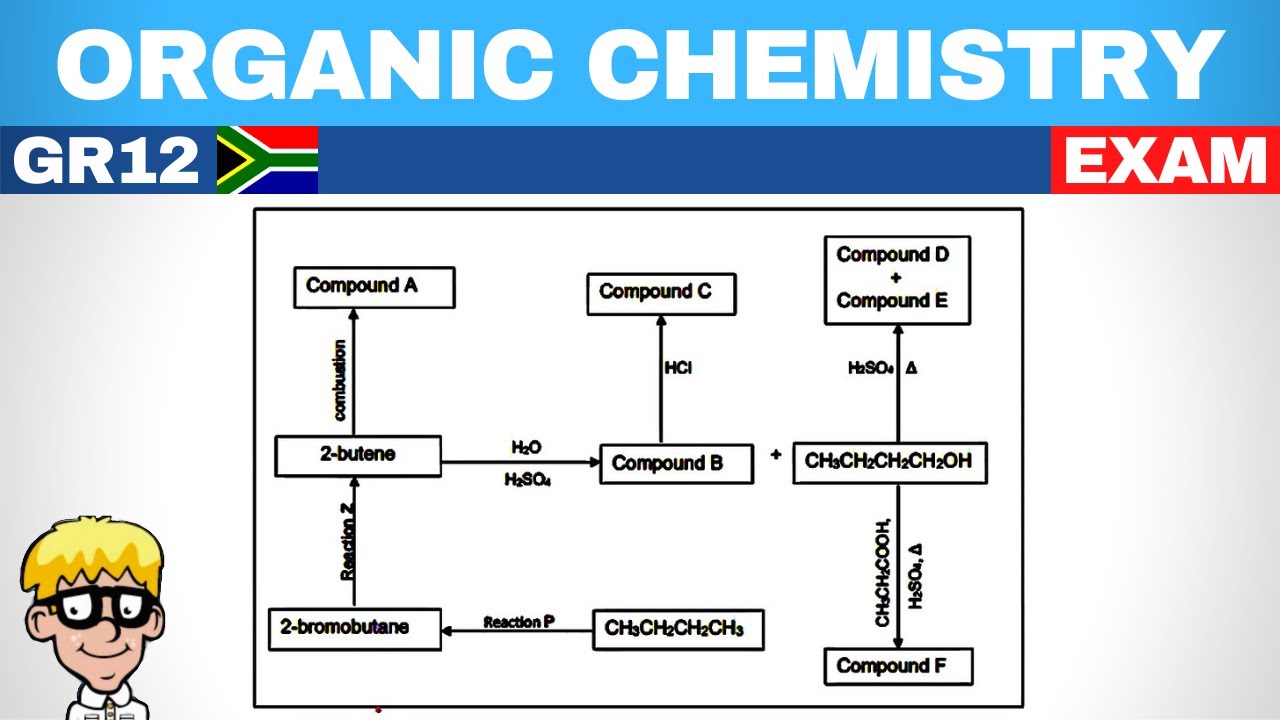 Grade 12 Organic Chemistry: Exam - YouTube