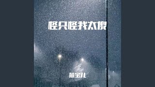 怪只怪我太傻