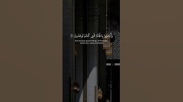 القارئ: ناصر القطامي 🍃  أرح سمعك 🥀حالات واتس آب ♻️https://t.me/halat1000