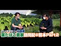 葉たばこ農家訪問記パート２ たばこを取り巻く厳しい社会環境と自然災害への思いを語ります/るろうに剣心のロケ地も