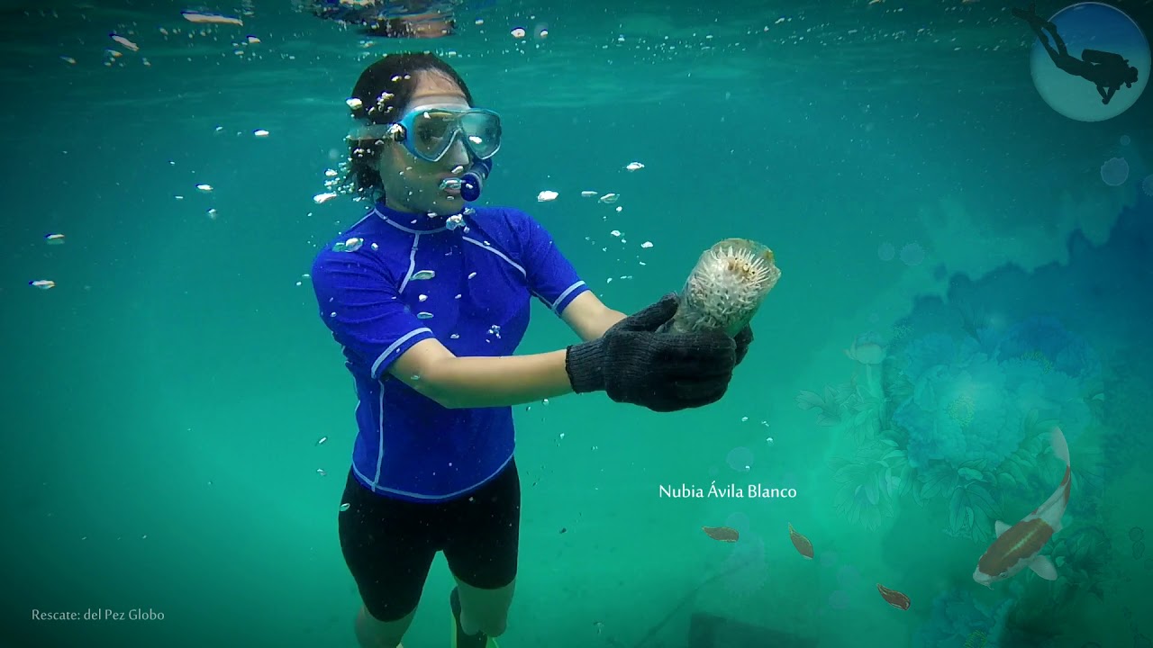 BUZOS ECOLOGOS VOLUNTARIOS DE ACAPULCO