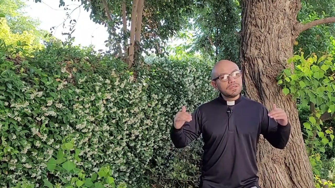 Homilies for Busy People: The Disco Ball!!! Fifth Sunday of Easter. John 