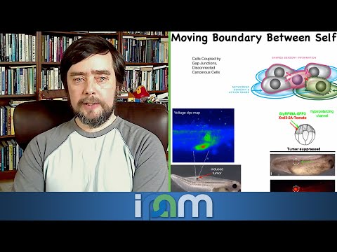 Michael Levin - Plasticity w/out genetic change: bioelectric embryos & synthetic proto-organisms