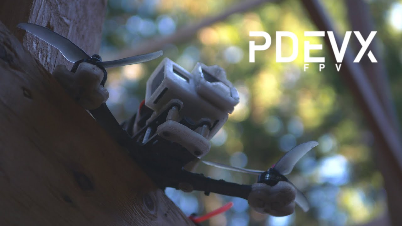 FPV Park in the Woods / TBS Source One V3 / FPV Freestyle