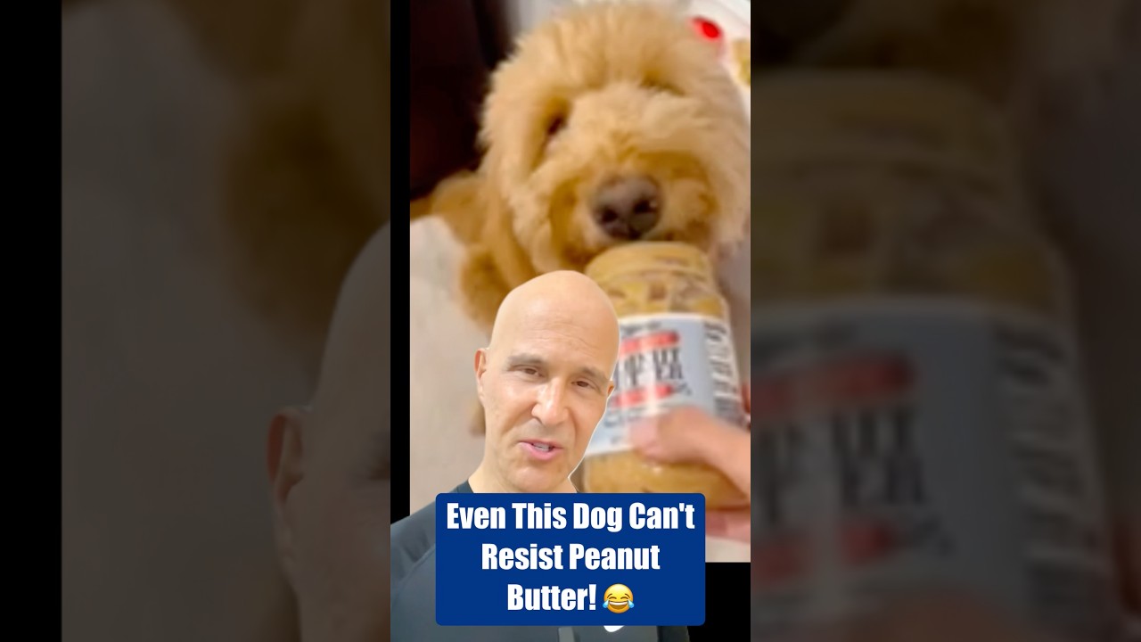 Even This Dog Can’t Resist Peanut Butter! 😂🥜. #drmandell #health #peanutbutter #dog