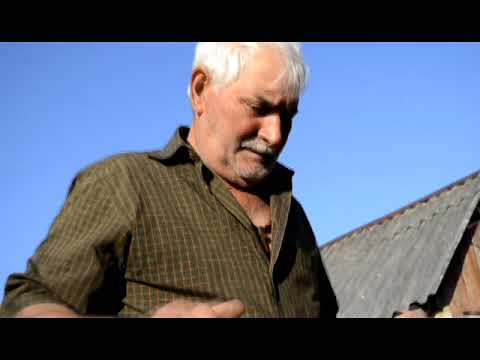 სიყვარულის ერთი დღე