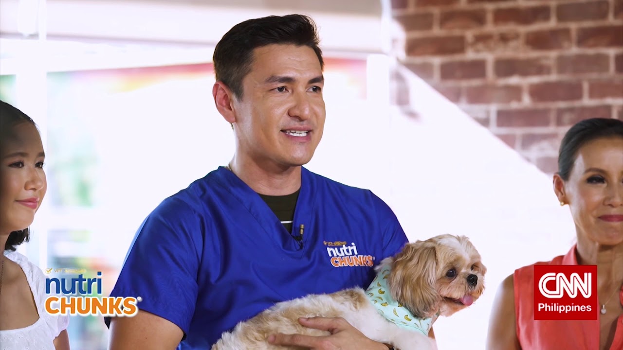 JUST FUR BABIES Ep. 3 Grooming YouTube