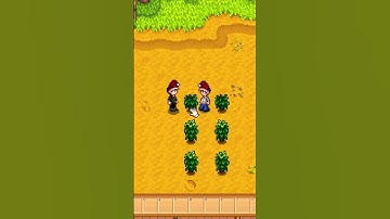 Duplicate Items in Stardew Valley with Your Friend! (MORE PRISMATIC SHARDS) #stardewvalley #shorts