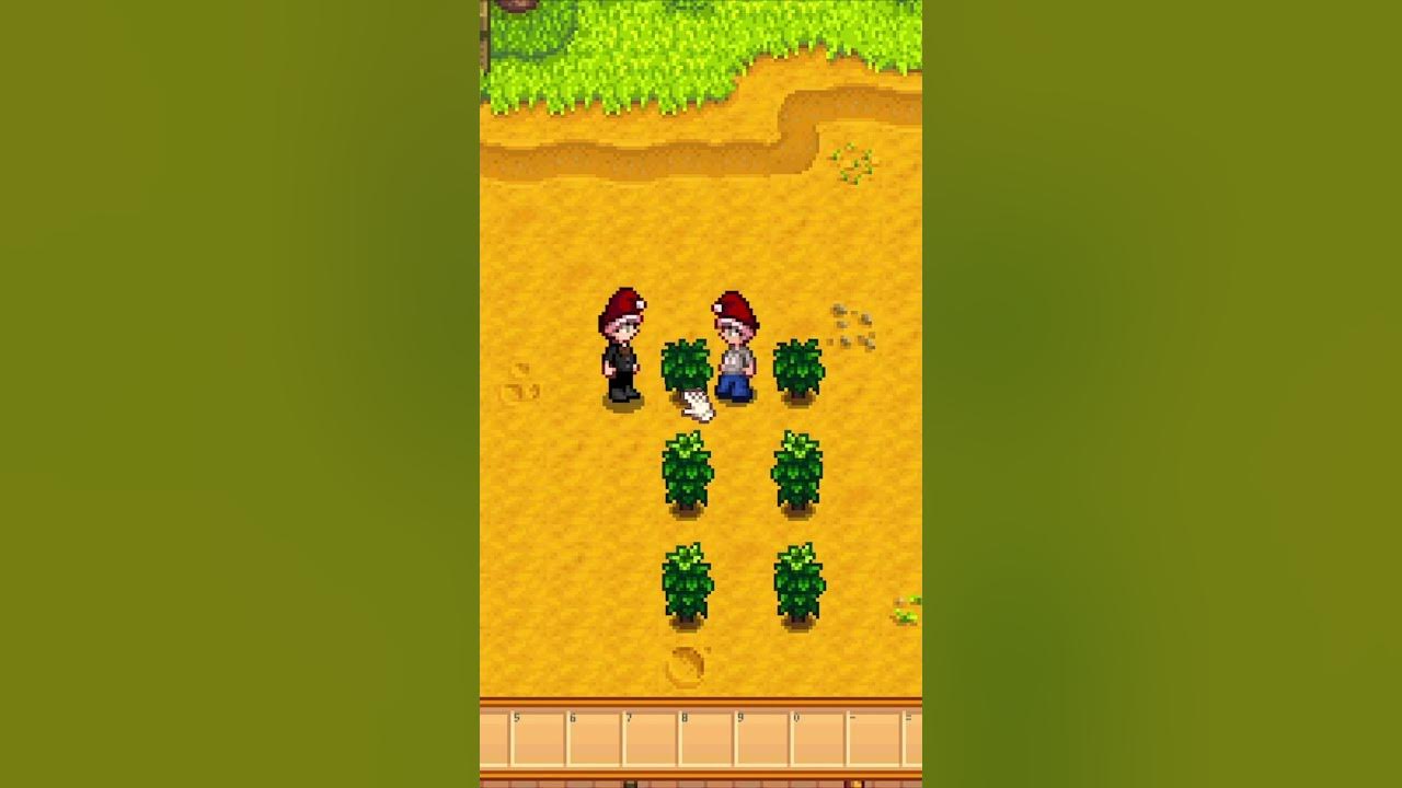 Duplicate Items in Stardew Valley with Your Friend! (MORE PRISMATIC