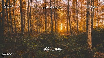 قرآن كريم بصوت القارئ: خالد الجليل || أجمل حالات واتس اب دينيه || تلاوة خاشعة 🌿