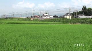東海道本線 大垣 - 関ヶ原 2011/08撮影 EF66