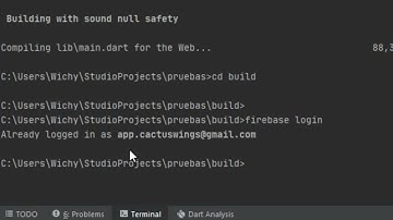 Subir Proyecto Flutter Web a Firebase Hosting