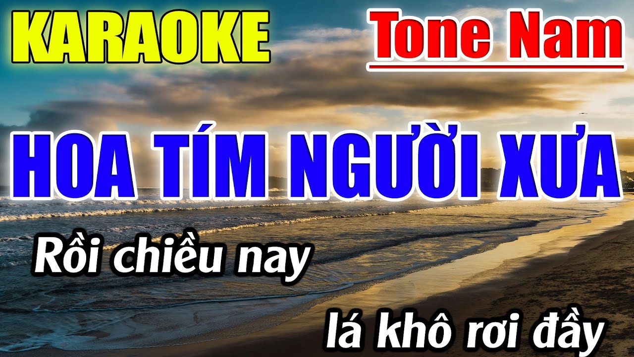 Hoa Tím Người Xưa Karaoke Tone Nam Karaoke Lâm Beat - Beat Mới