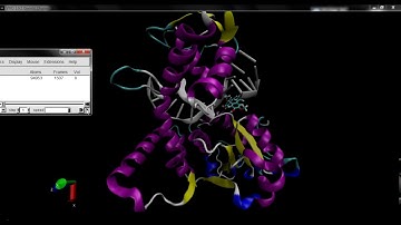 2ns MD of Ternary complex Prot-DNA-Ligand in Toprim-CAP domain using GROMACS