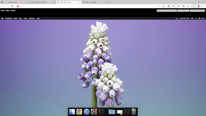 Installing Level Agents
