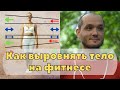 Реабилитационная тренировка. Кинезиология и фитнес