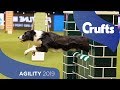 Agility  championship final  crufts 2019