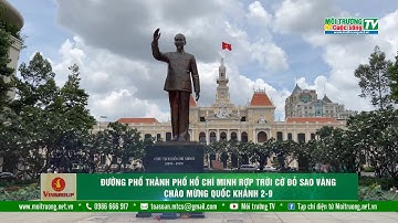 Đường phố Thành phố Hồ Chí Minh rợp trời cờ đỏ sao vàng chào mừng Quốc khánh 2-9