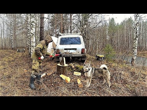 ''В ЛЕС С НОЧЁВКОЙ'' К ПАЛАТКЕ ПРИШЁЛ ЗВЕРЬ! ''ИЩУ МЕТАЛЛ ГДЕ БЫЛА ДЕРЕВНЯ'' ЗАКИДЫВАЮ ДОНКИ!
