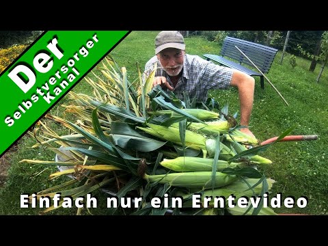 Video: Für meine Lieblingsbeschäftigung?