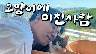 고양이의, 고양이에 의한, 고양이에 미친 수의사의 vlog