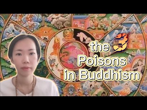 The 3 Poisons in Buddhism (I) : Greed Anger & Ignorance