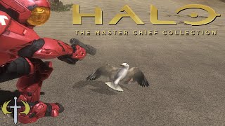 Halo MCC (PC) - Another way to get turkey Edition