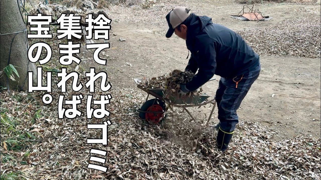 落ち葉堆肥づくりと薪ストーブの薪づくり。木で暖とり葉を集めて環境を整え心を豊かにする　24/1/22