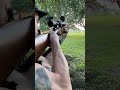 Ruger m77 3006 slo mo at 85 yards