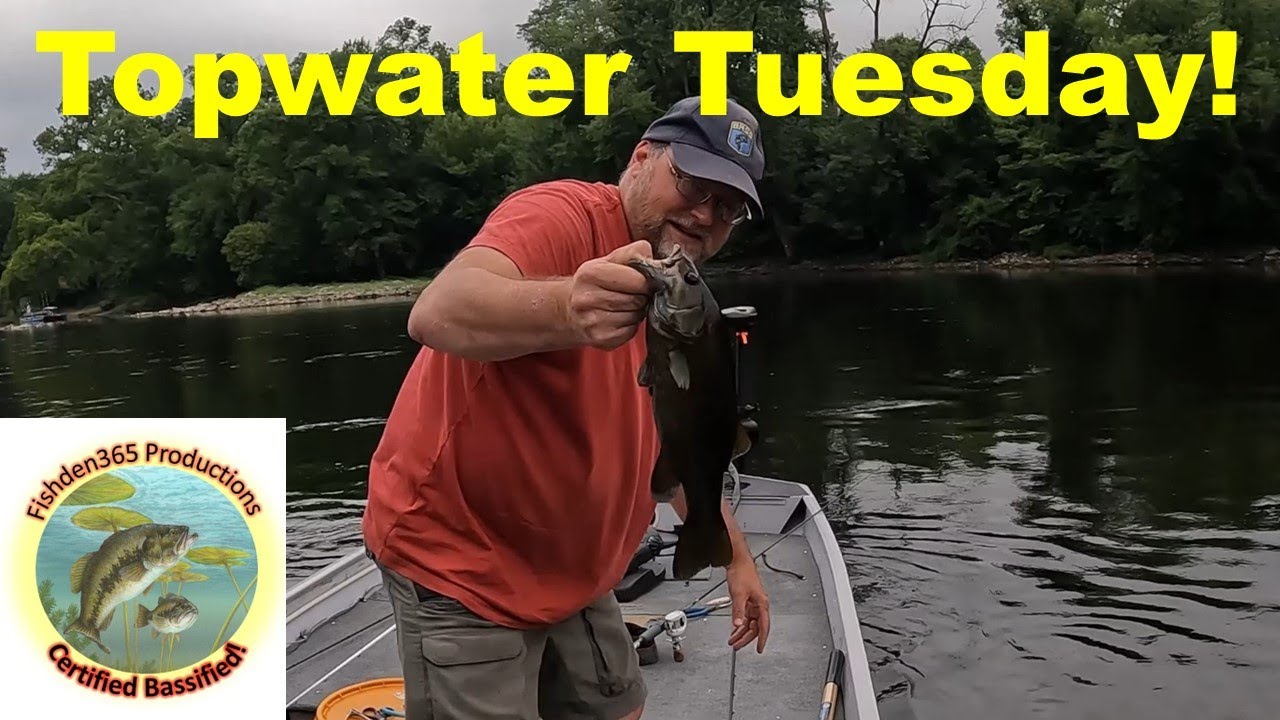 Topwater Tuesday on the River