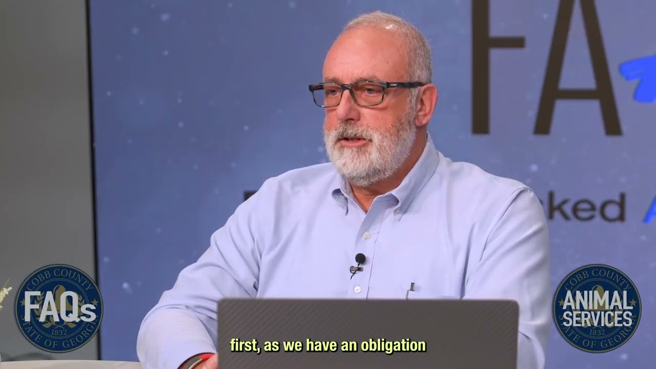 How are euthanasia decisions made?