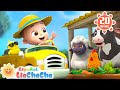 [NUEVO] Las Ruedas del Bus (Animales de Granja) | LiaChaCha en Español - Canciones Infantiles