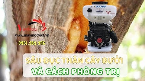 Máy phun thuốc Kawasaki TK65 trừ sâu đục thân cho cây ăn trái