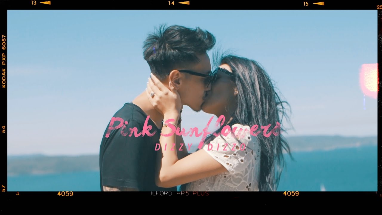 Dizzy Dizzo - Pink Sunflowers 粉紅太陽花 Dizzy Dizzo - Pink Sunflowers 粉紅太陽花