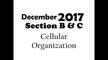 How to read/revise things from old question papers: Unit-II (December 2017)