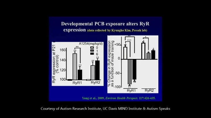 Environmental Risk Factors - P. Lein, Ph.D.