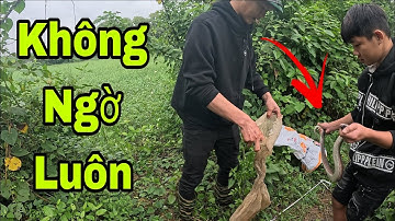 Đi Thăm Lờ Cá Bất Ngờ Anh Em  Trúng Lớn...