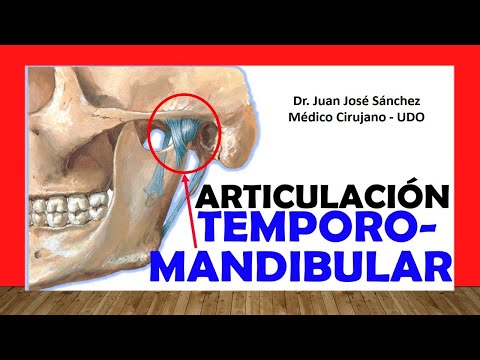 Video: ¿Cuáles son los componentes de la articulación temporomandibular?