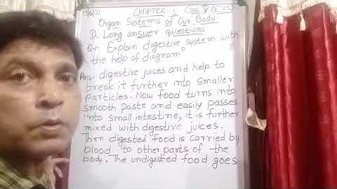 Class V EVS 15 06 2021 by Mr Rupesh Chapter 1 Question answers