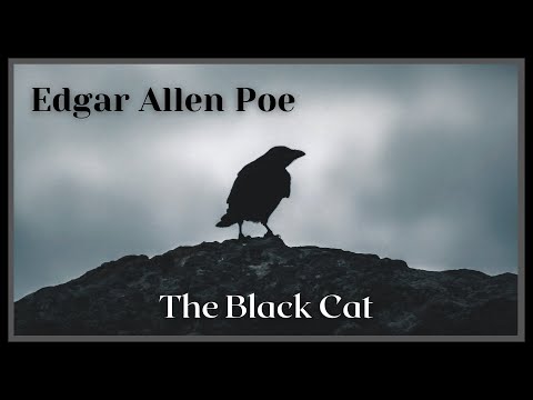 The Black Cat