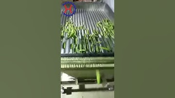 Fresh soya bean sheller Edamame sheller machine,how to shell the young beans by automatic machine